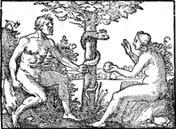 Genesis 3, from a Catholic German Bible, 1534